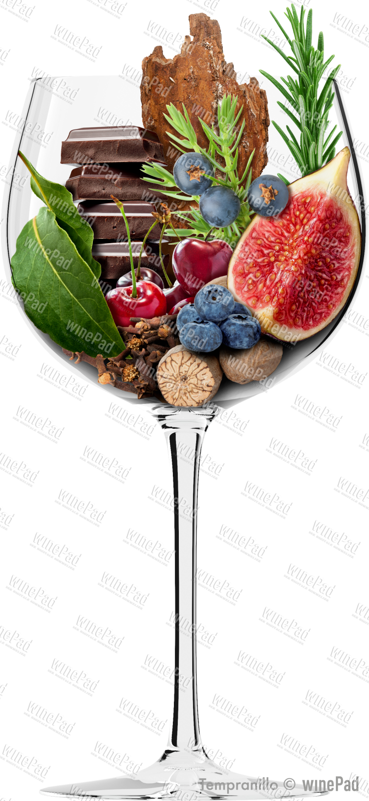 Tempranillo Tempranillo